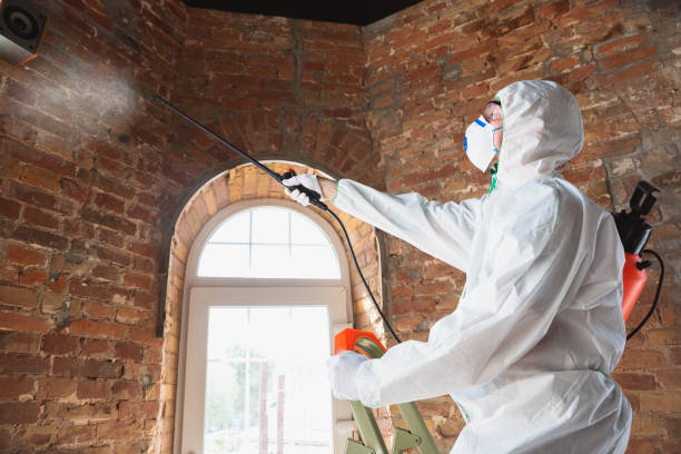 Best Biohazard Mold Removal  in Rogers City, MI