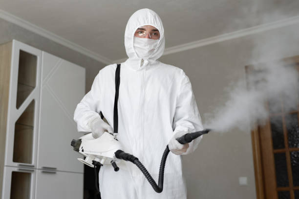 Environmental Consulting for Mold Prevention in Rogers City, MI